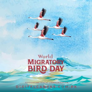World Migratory Bird Day Post